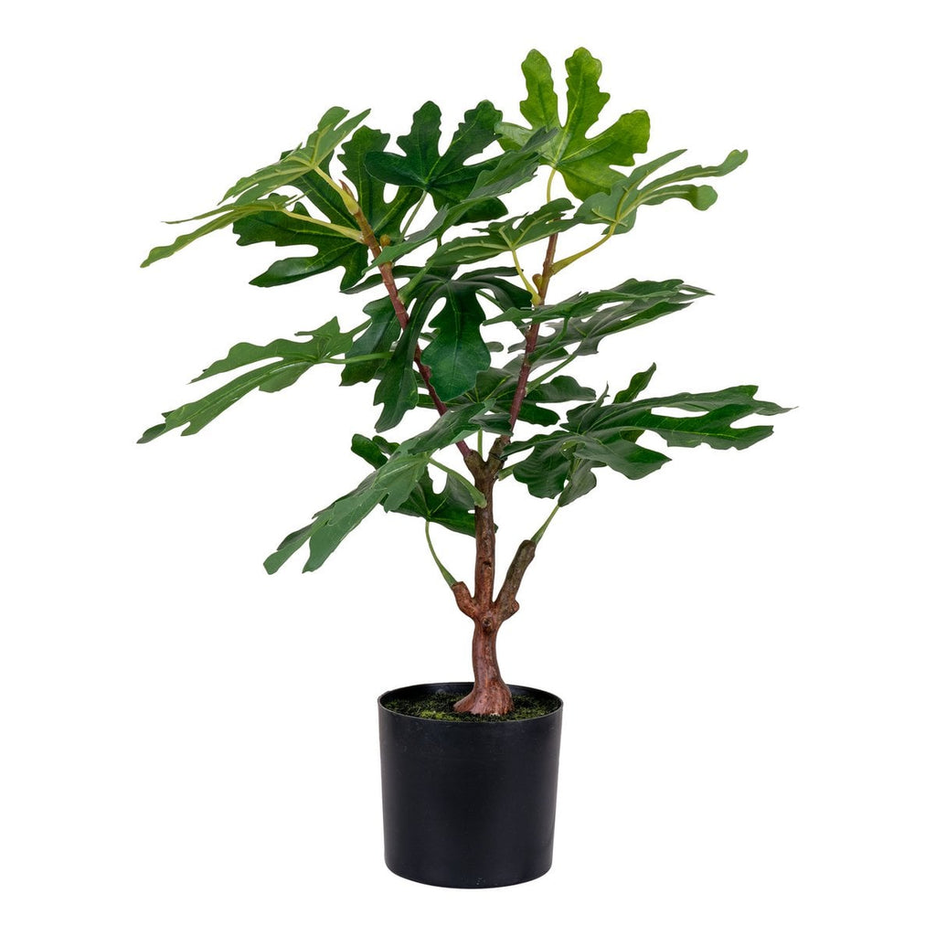 Feigenbaum - Grün, PE-Kunststoff, H:60 cm