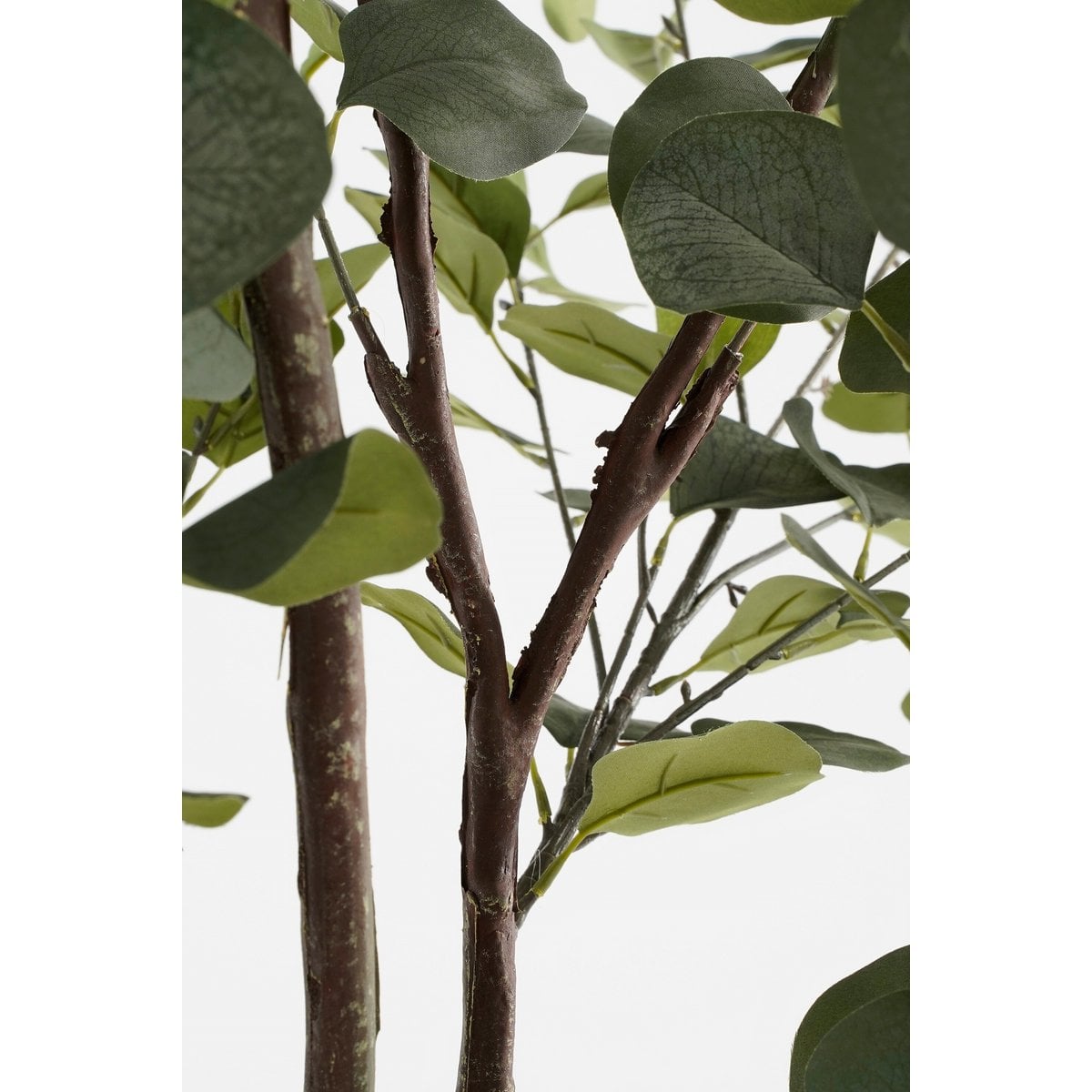 Kunstpflanze Eukalyptus grün für Wohnzimmer Interieur
