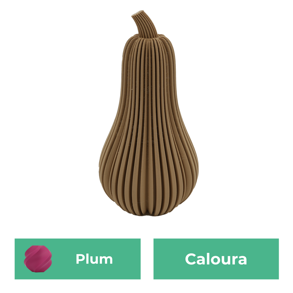 Caloura-Kürbis