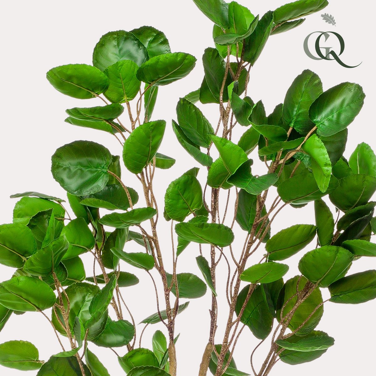 KUNSTPLANT - POLYSCIAS - ARALIA - 150 cm