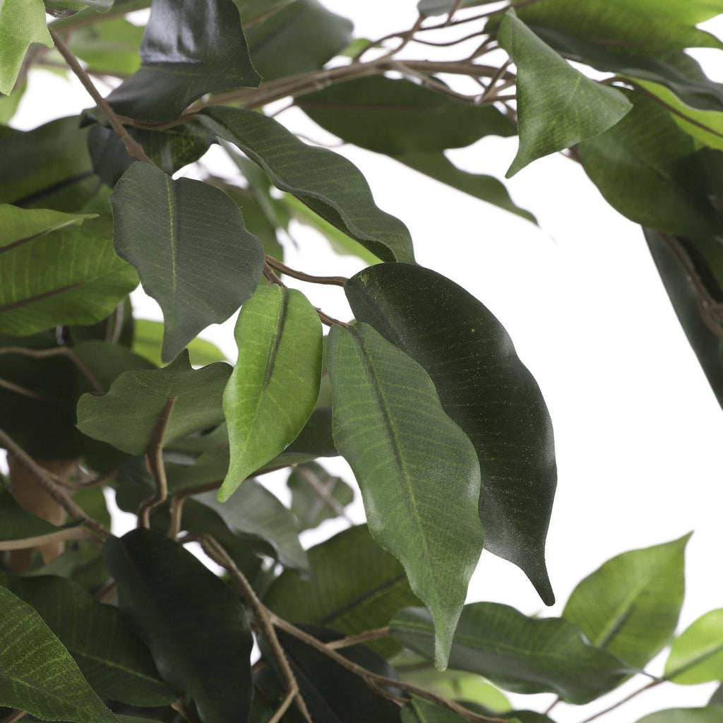 Künstliche Pflanze Ficus Green
