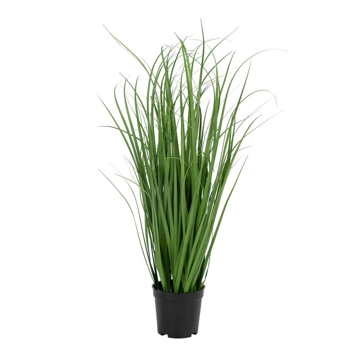 Poa-Gras – Grün, PE-Kunststoff/Polyester, 30 x 30 x 68 cm