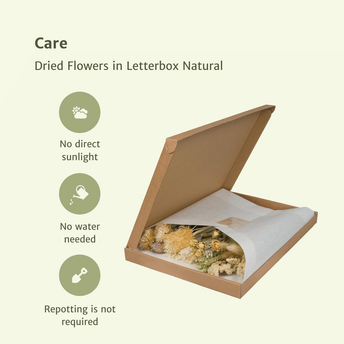 Trockene Blume im Briefkasten multi - natürlich