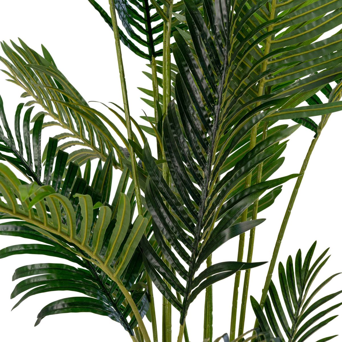Areca-Palme – Grün, PE-Kunststoff/Polyester, 64 x 64 x 175 cm