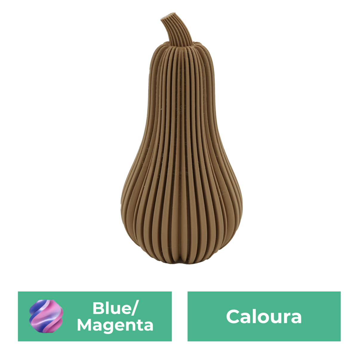 Caloura-Kürbis