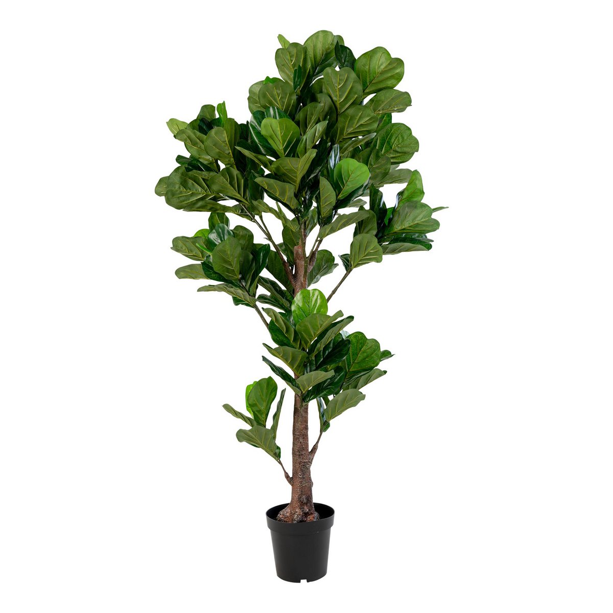 Fiddle Leaf Tree – Grün, PE-Kunststoff/Polyester, 81 x 93 x 190 cm