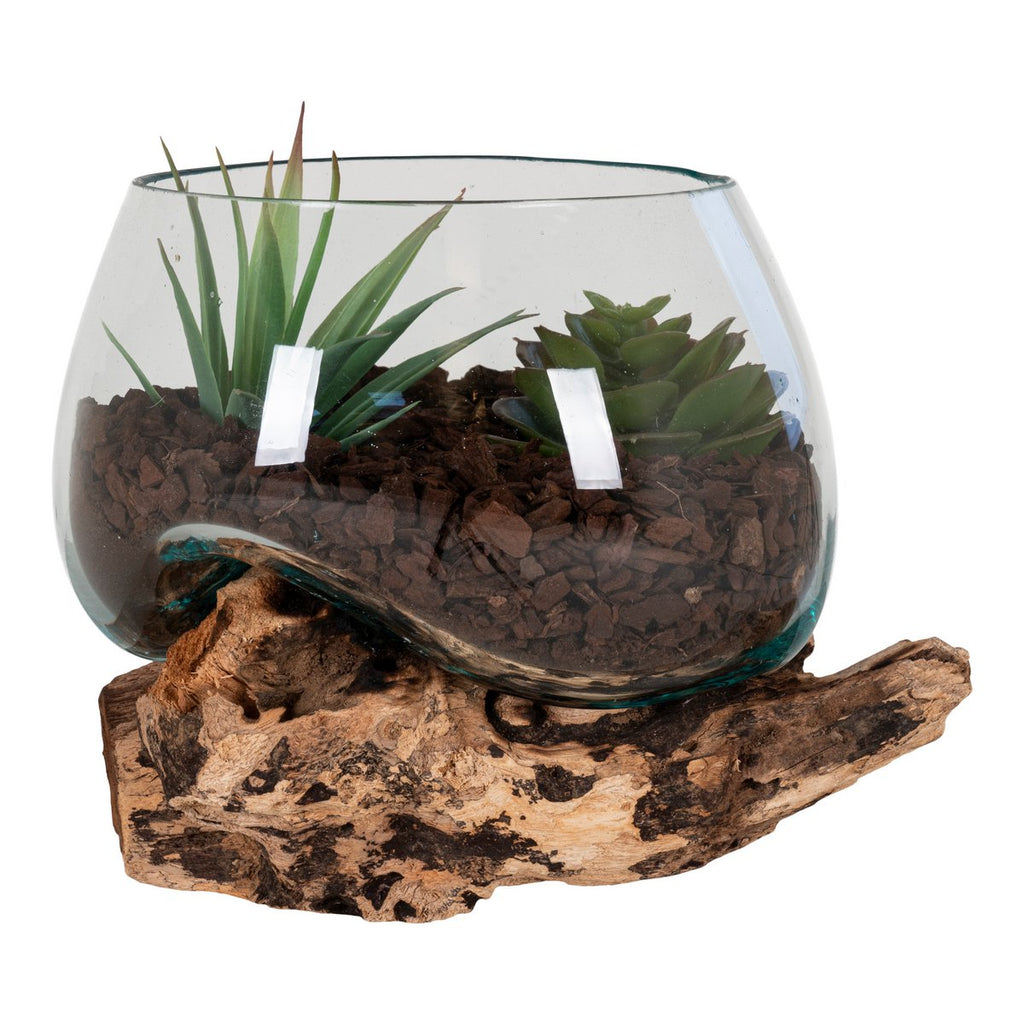 San Marino Waterdrop Terrarium aus Teakholz und Glas - 15cm Deko
