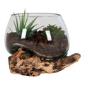 San Marino Waterdrop Terrarium aus Teakholz und Glas - 15cm Deko