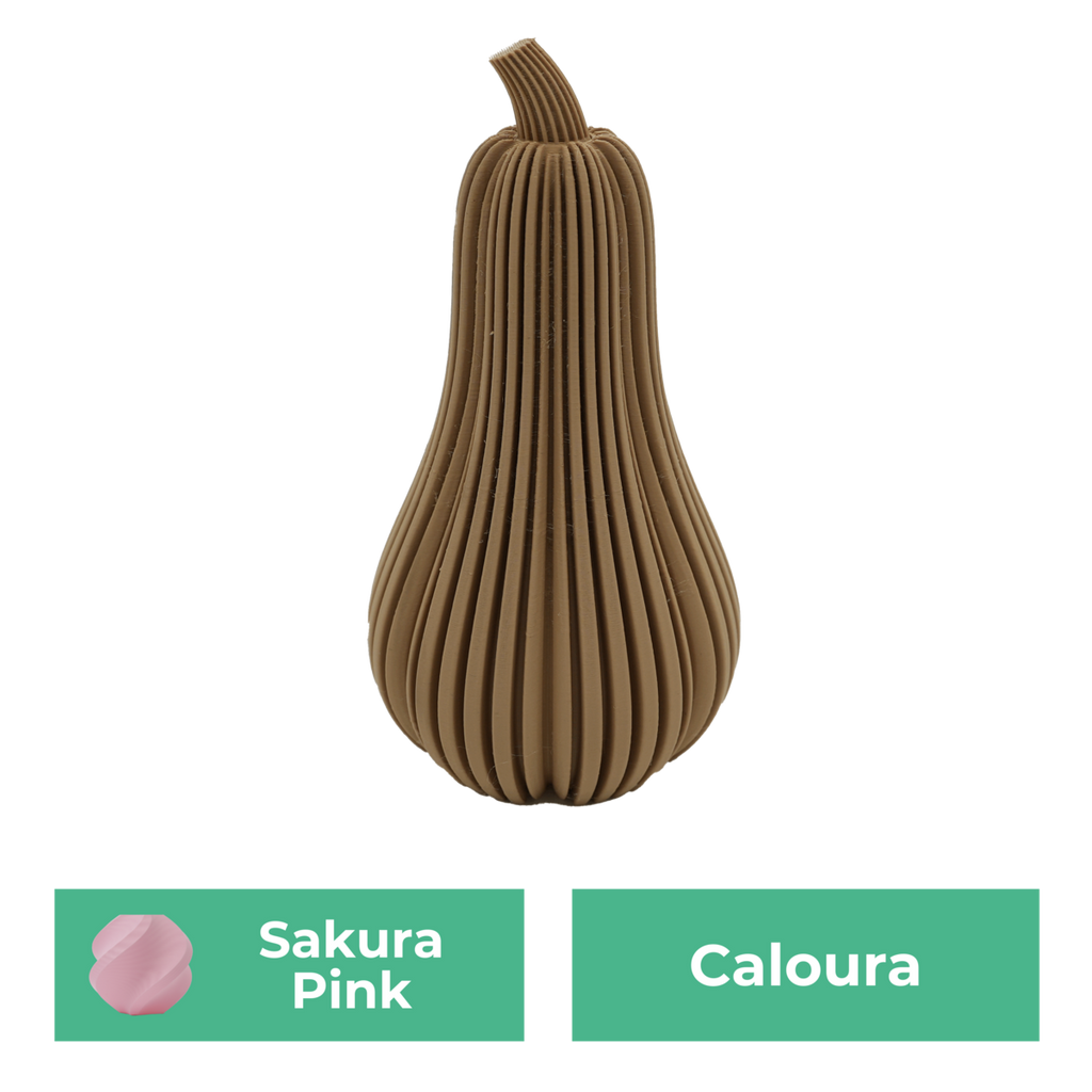 Caloura-Kürbis