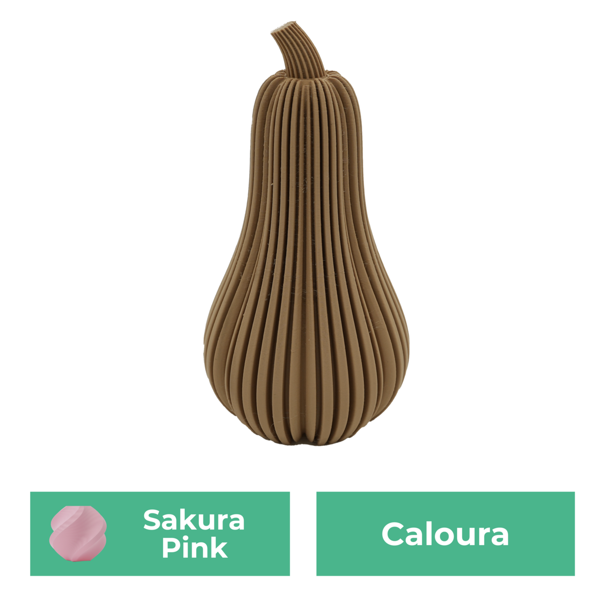 Caloura-Kürbis