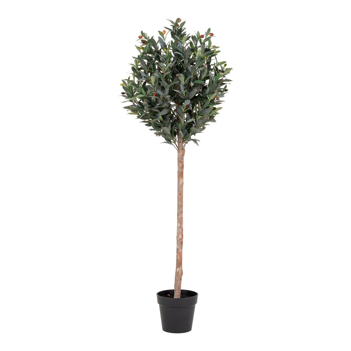 Olivenbaum – Grün, PE-Kunststoff/Polyester, 58 x 58 x 150 cm