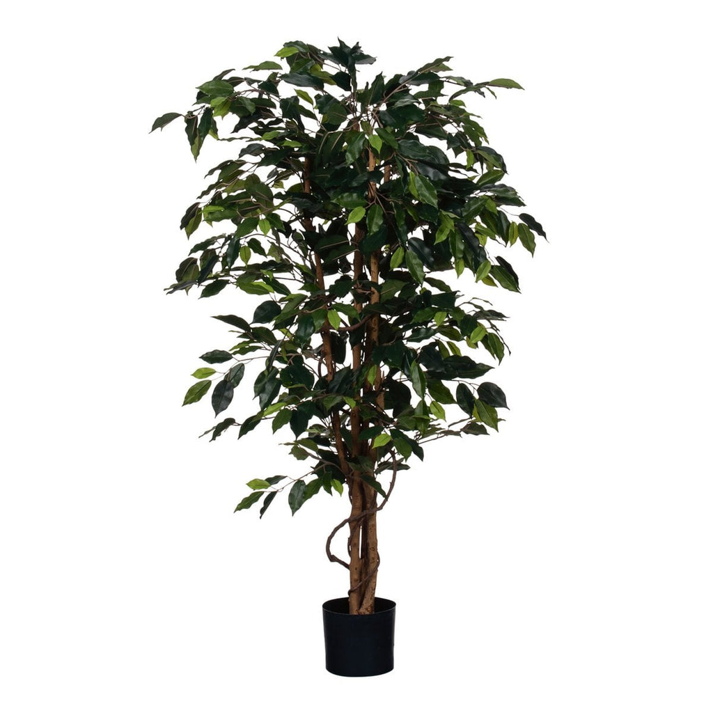 Künstliche Pflanze Ficus Green