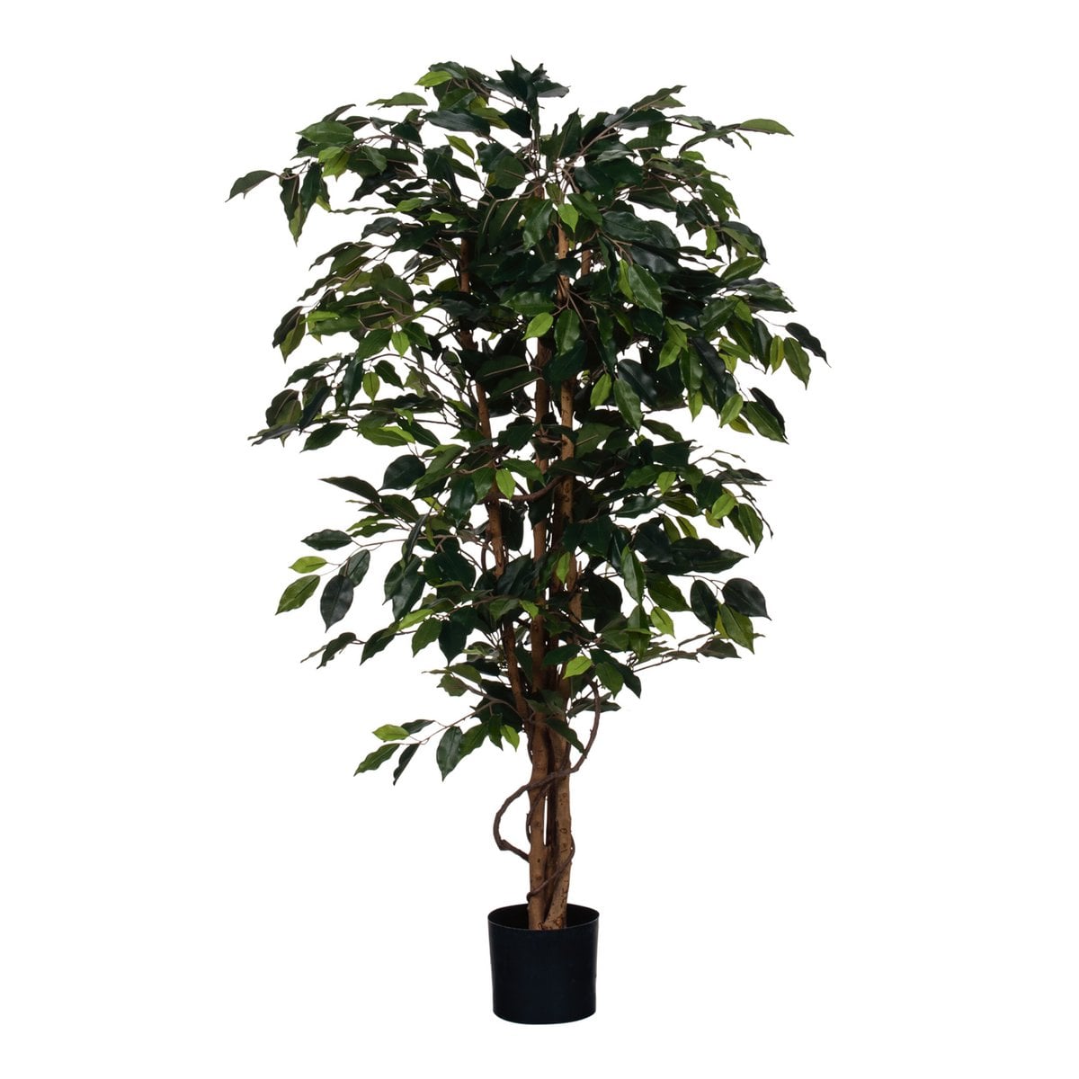 Künstliche Pflanze Ficus Green