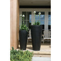 Plantnenpot - Kentucky Black