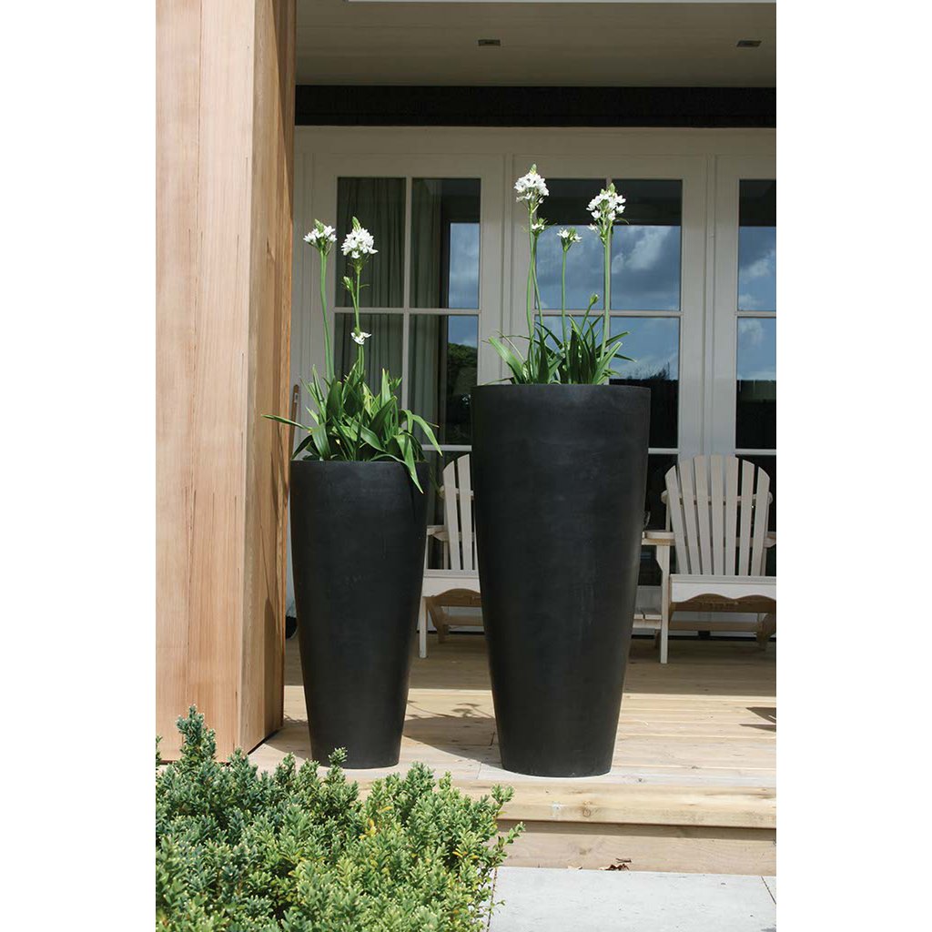 Plantnenpot - Kentucky Black