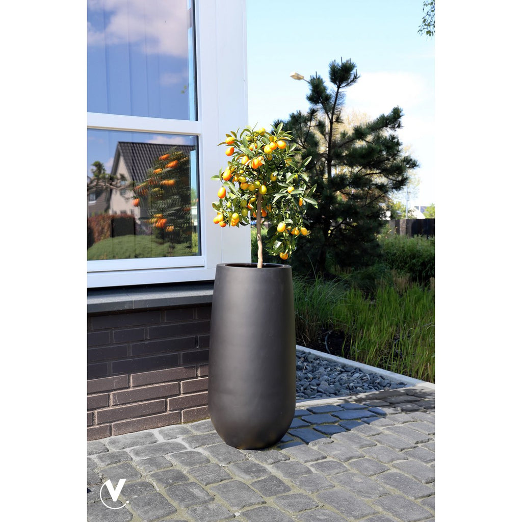 Plantnenpot - Idaho Schwarz