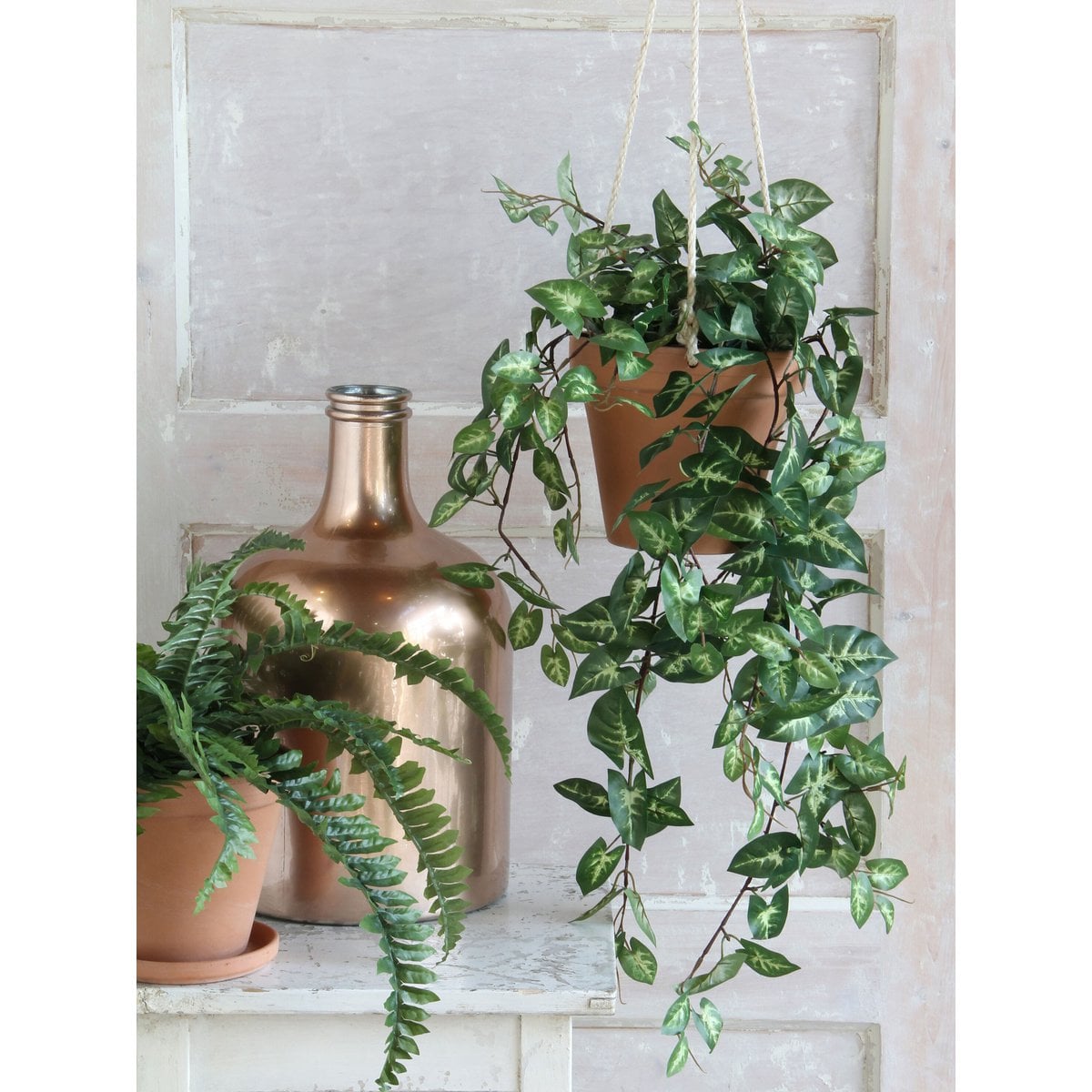 Künstliche Hängepflanze Fittonia Green