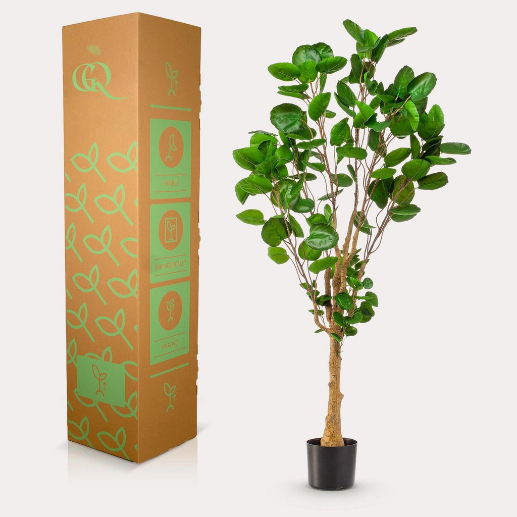 KUNSTPLANT - POLYSCIAS - ARALIA - 150 cm