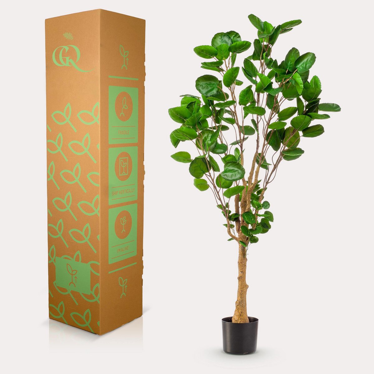 KUNSTPLANT - POLYSCIAS - ARALIA - 150 cm