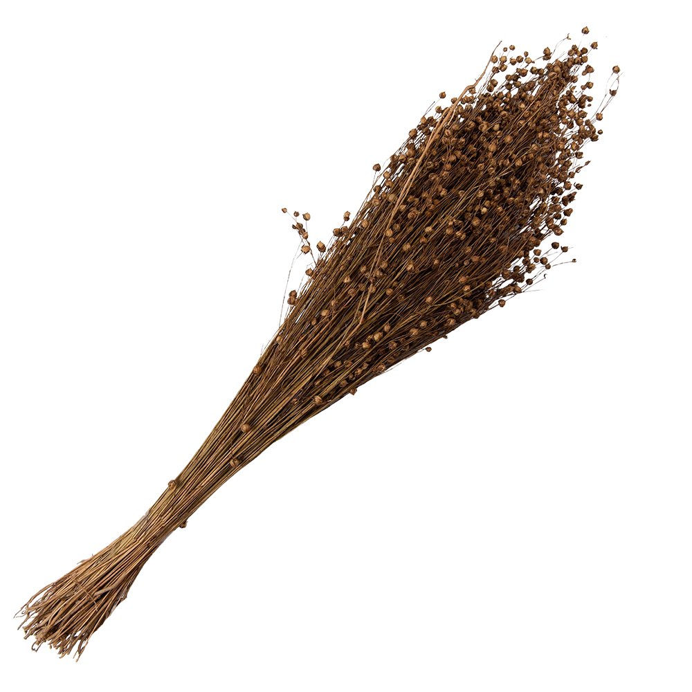 Trockenblumen Strauß 60 cm Beige – Landlicher Deko-Boho-Boquet | Clayre & Eef