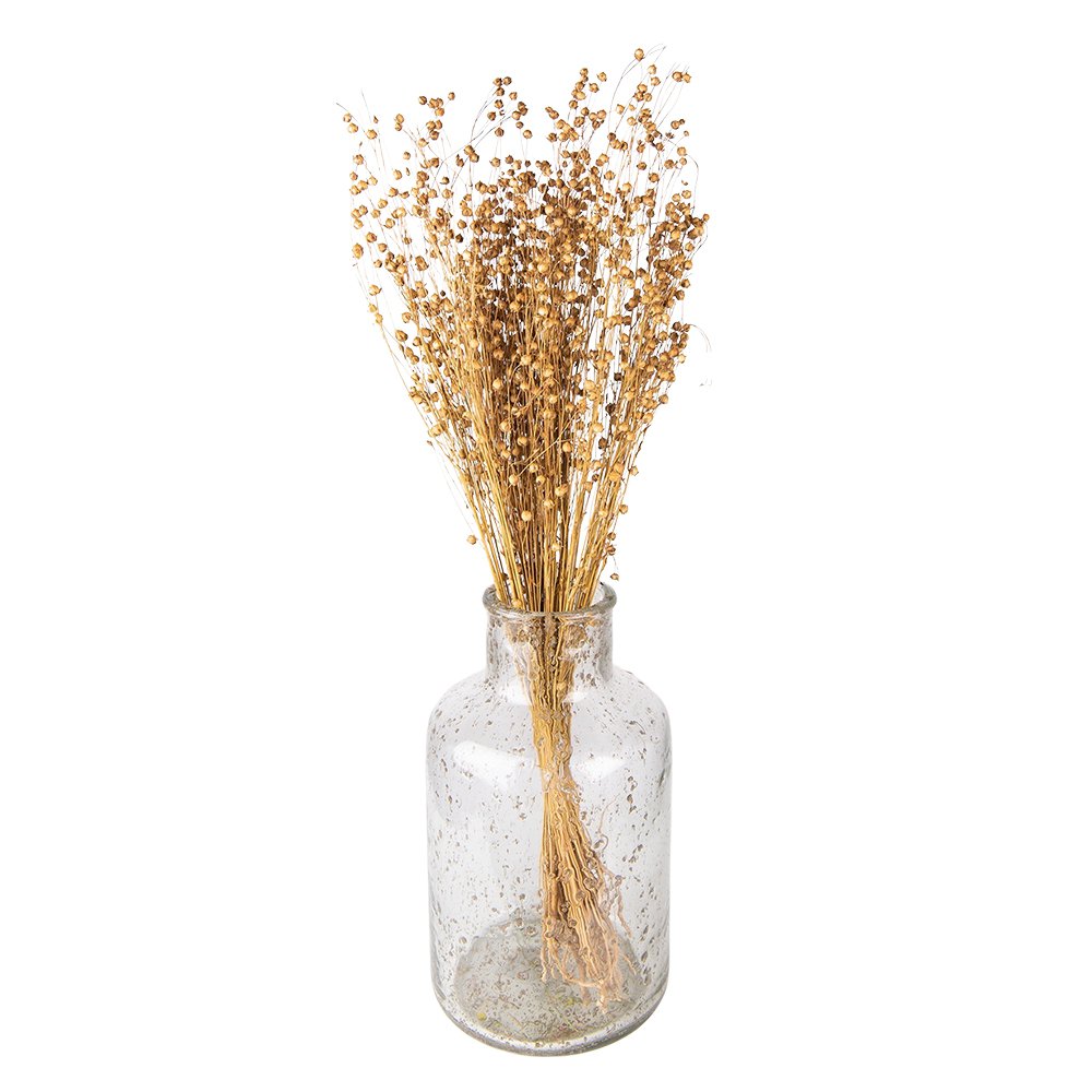 Trockenblumen Strauß 60 cm Beige – Landlicher Deko-Boho-Boquet | Clayre & Eef