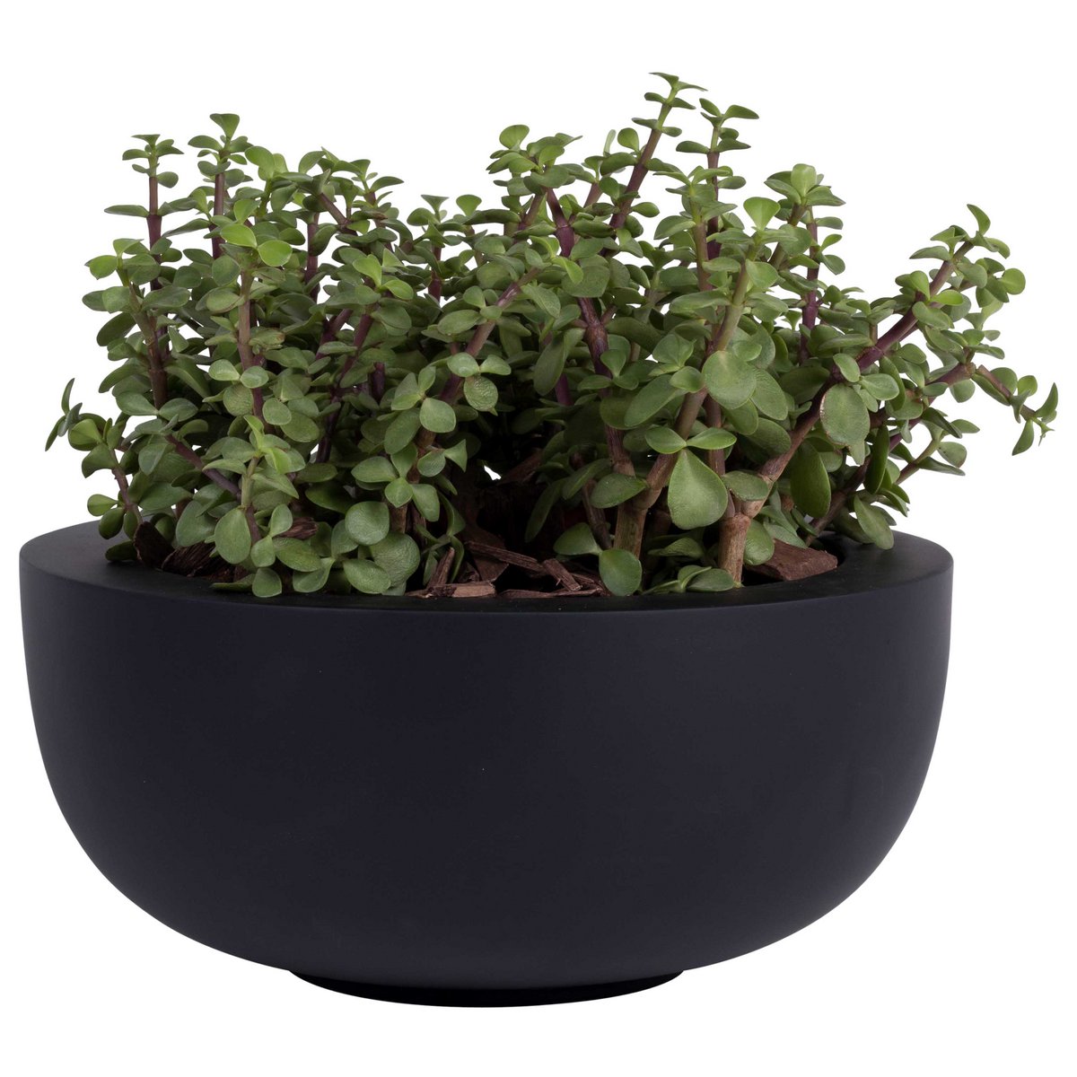 Pflanzentopf - Ducos S schwarz (Set von 2 Teilen)