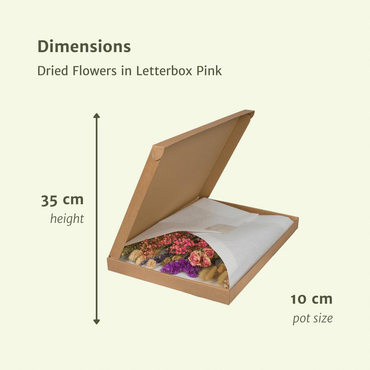 Trockene Blume im Briefkasten Multi - Pink