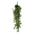 Künstliche Hängepflanze Fittonia Green