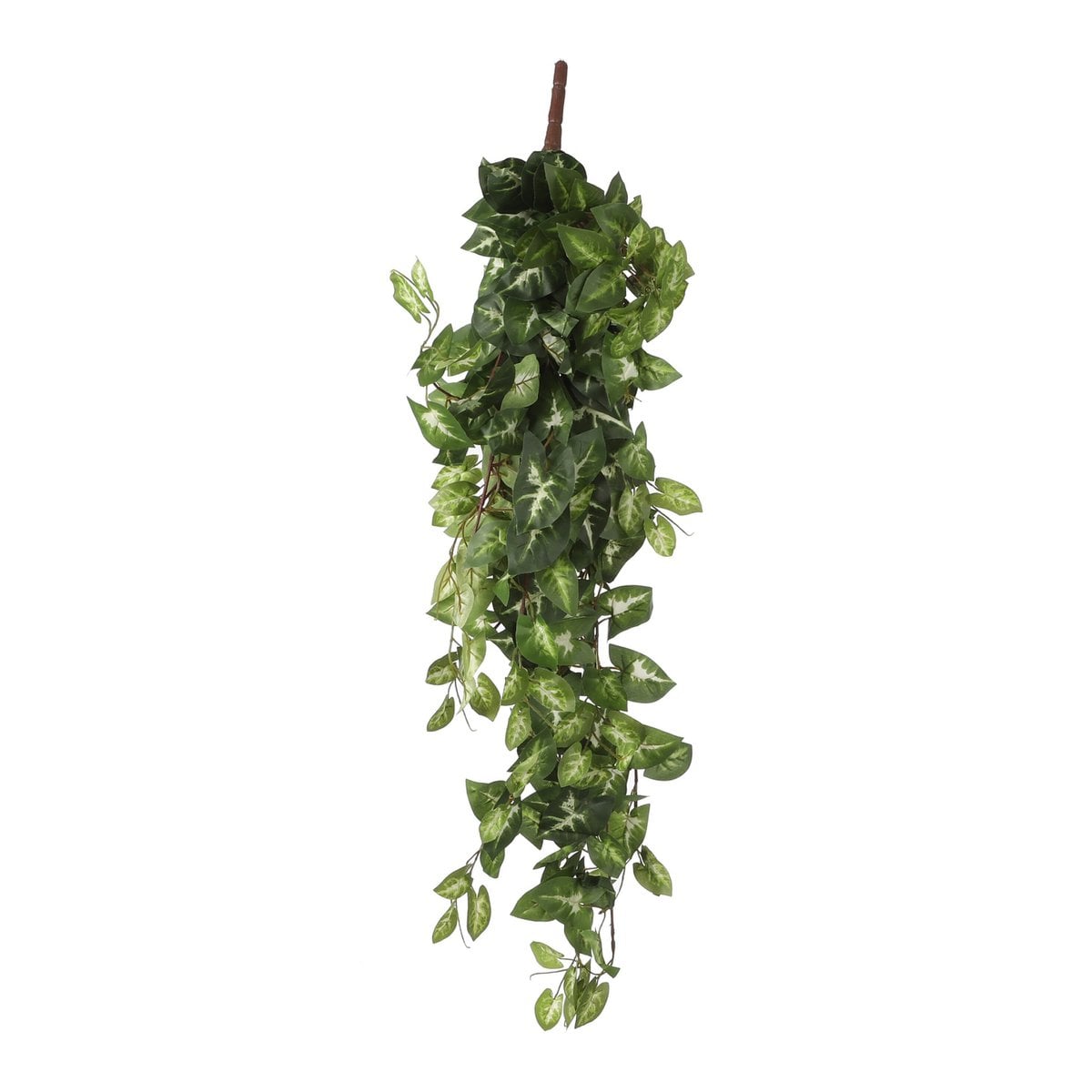 Künstliche Hängepflanze Fittonia Green
