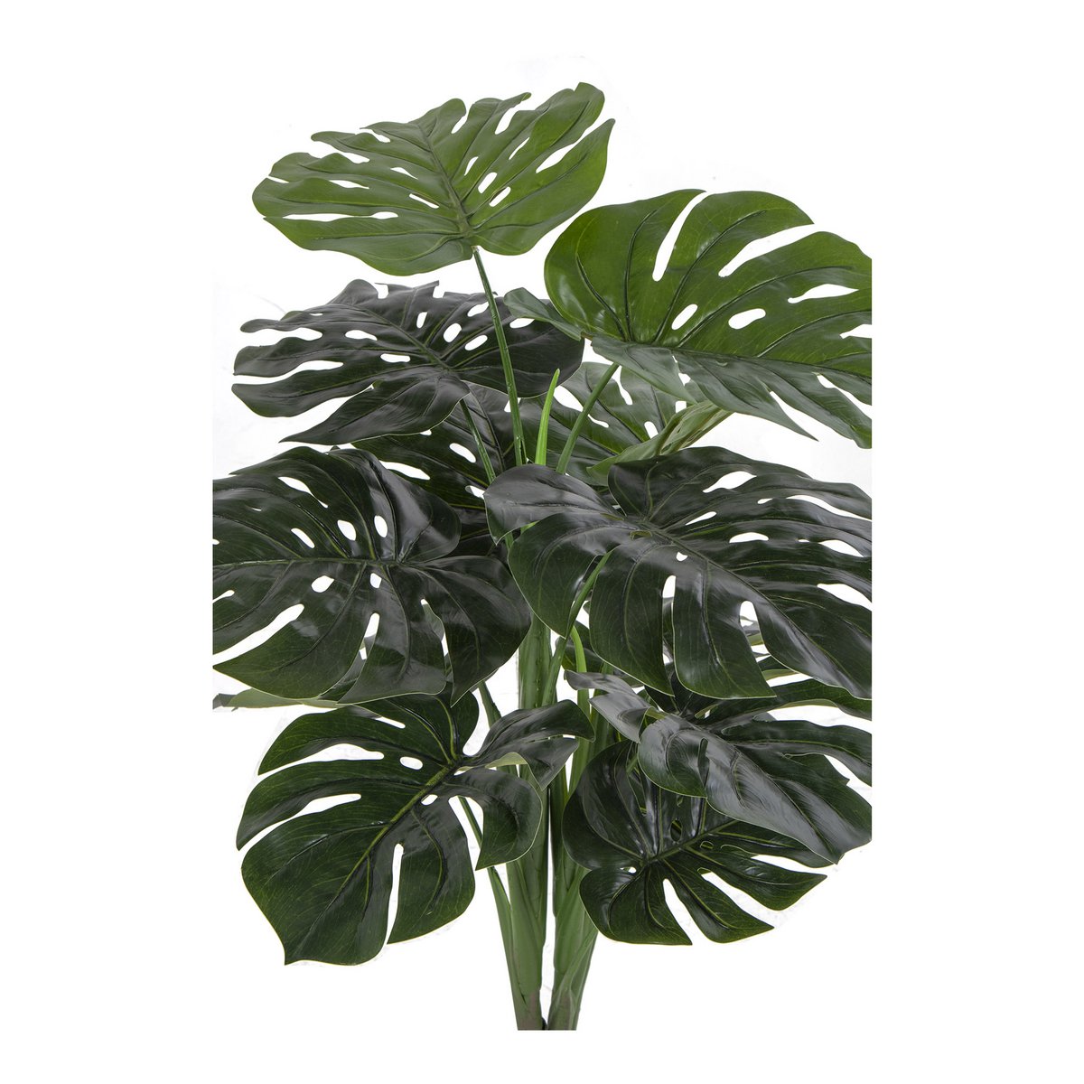 Monstera – Grün, PE-Kunststoff/Polyester/Draht/Zement, 17 x 18 x 90 cm
