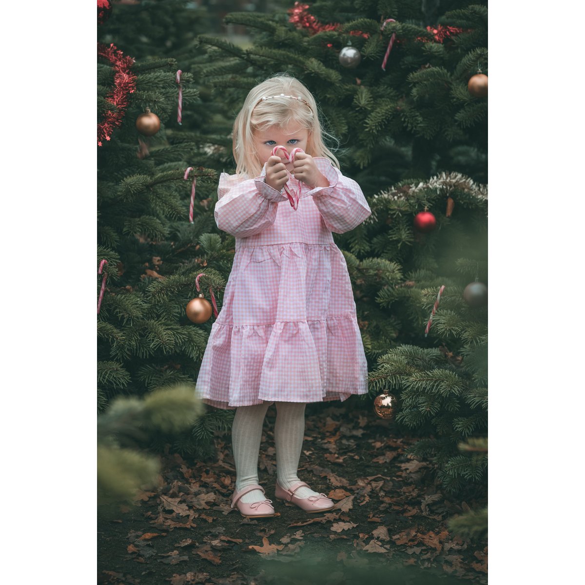 Jolene-Kleid – Kleid in Gingham-Rosa und Weiß
