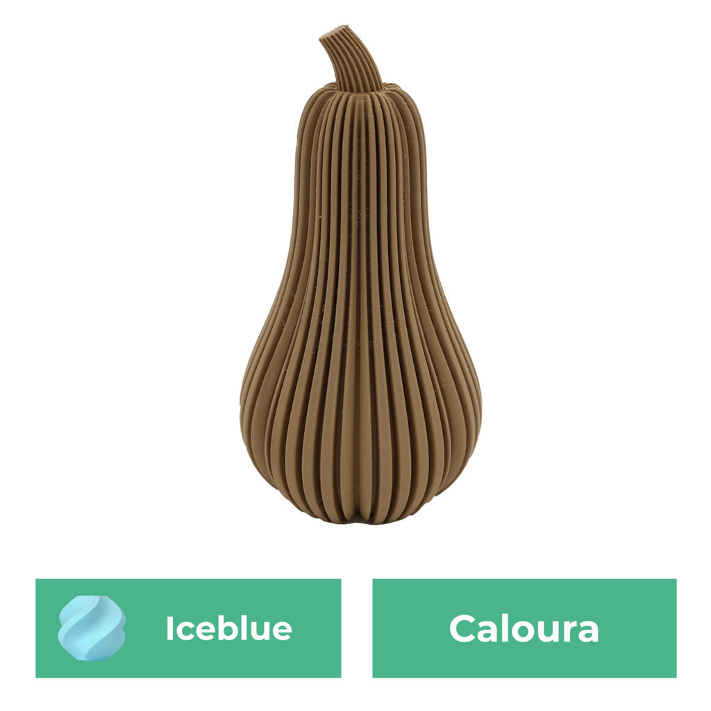 Caloura-Kürbis