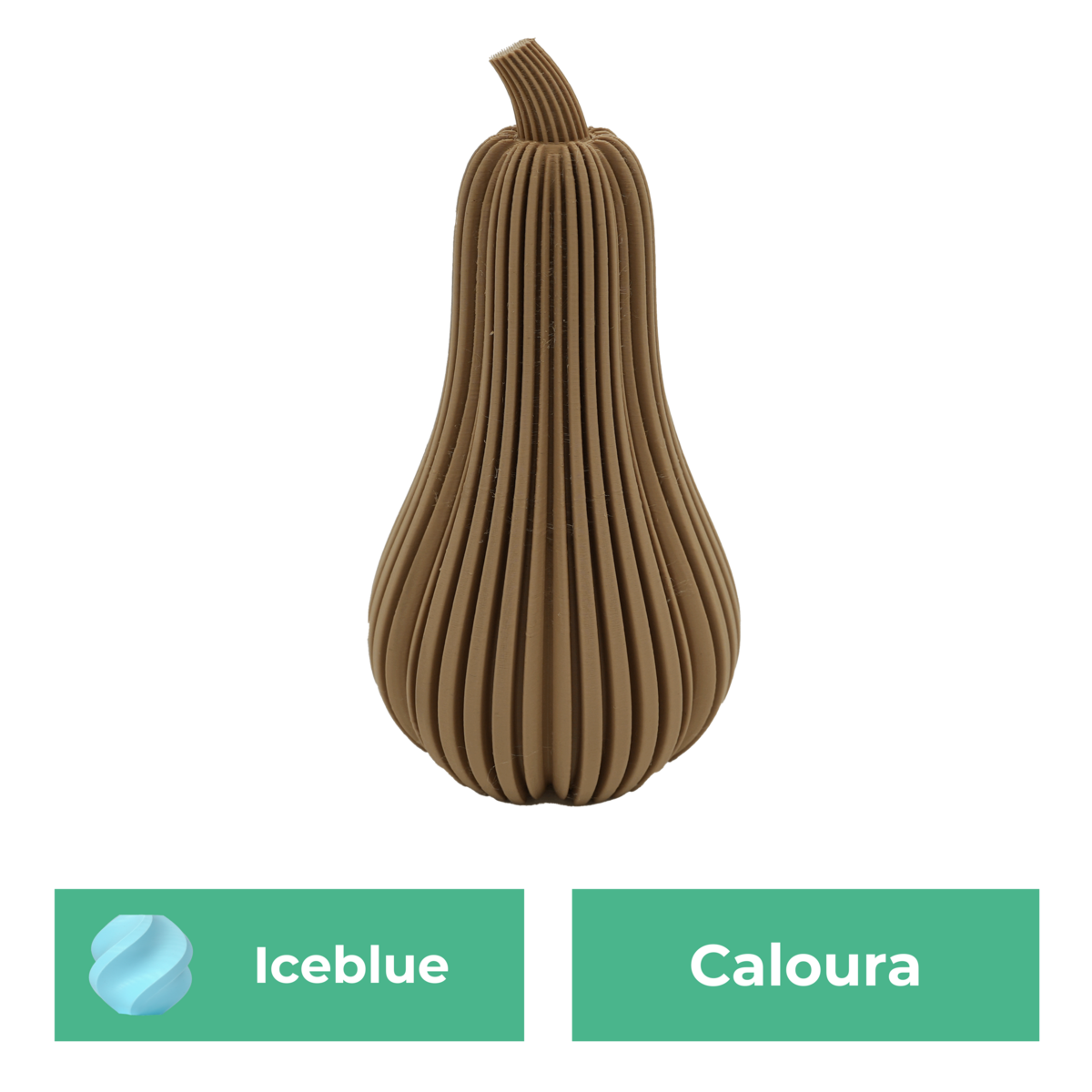 Caloura-Kürbis