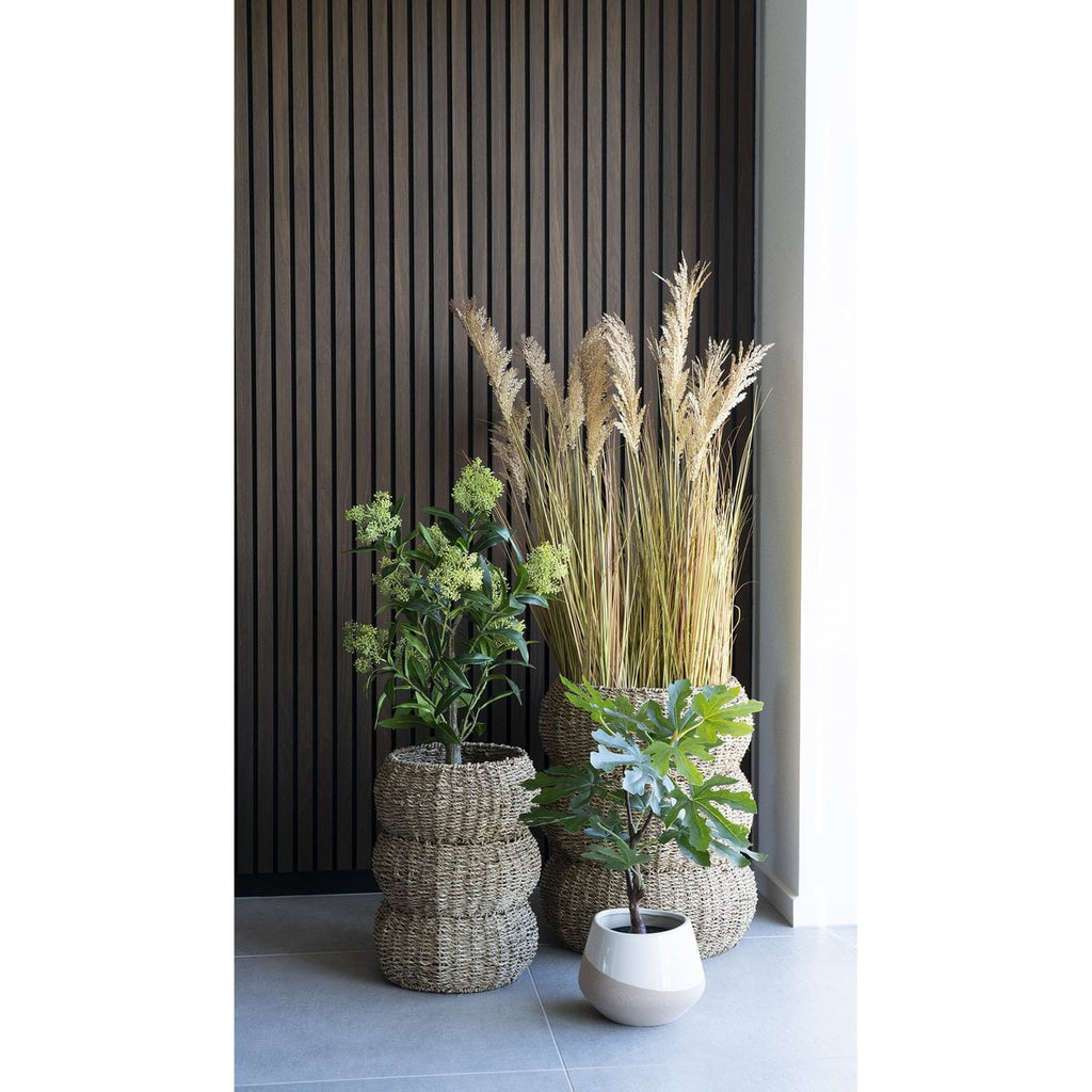 Feigenbaum - Grün, PE-Kunststoff, H:60 cm