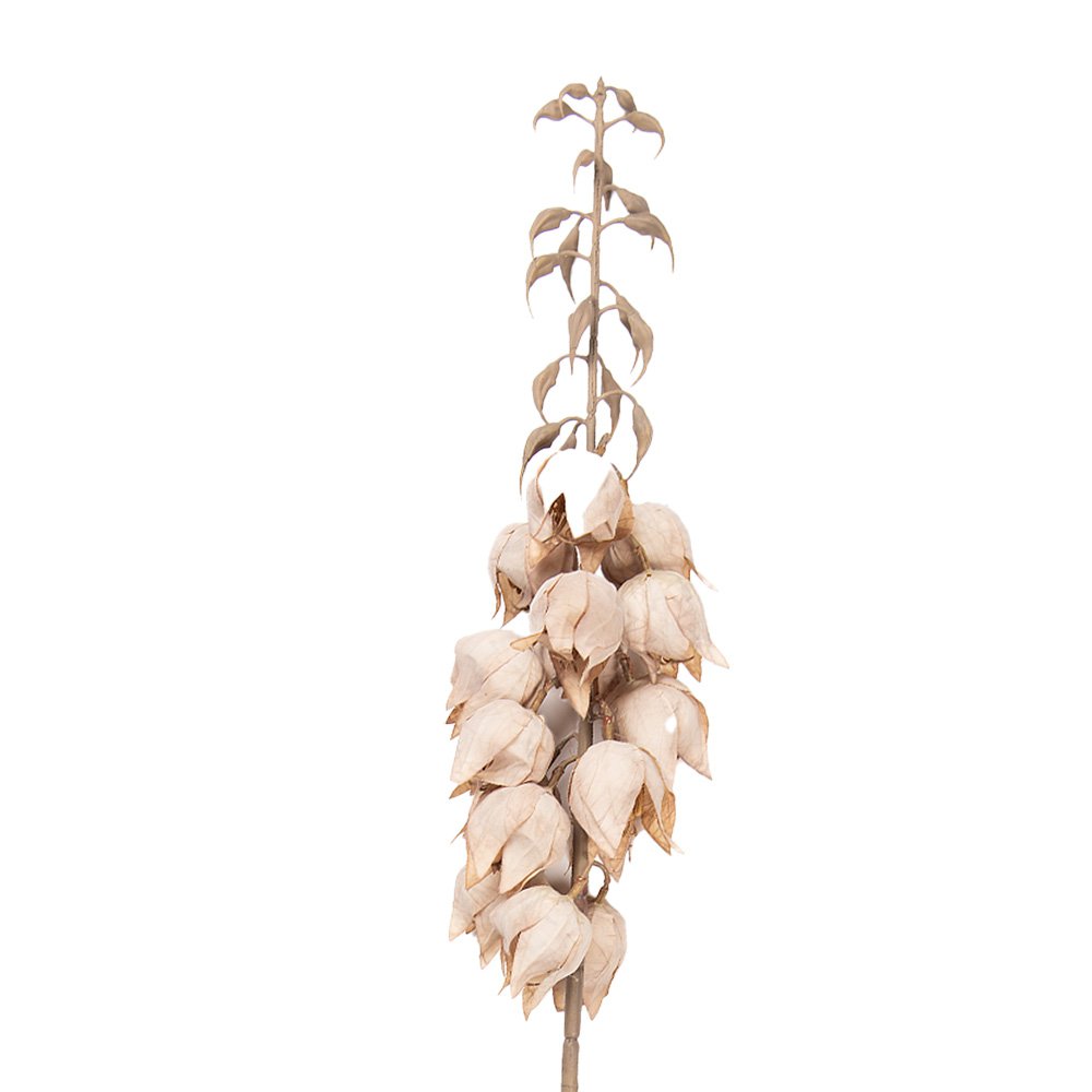 Künstliche Blume 100 cm Beige - Premium Deko-Zweig aus Kunststoff für Vasen und Regale
