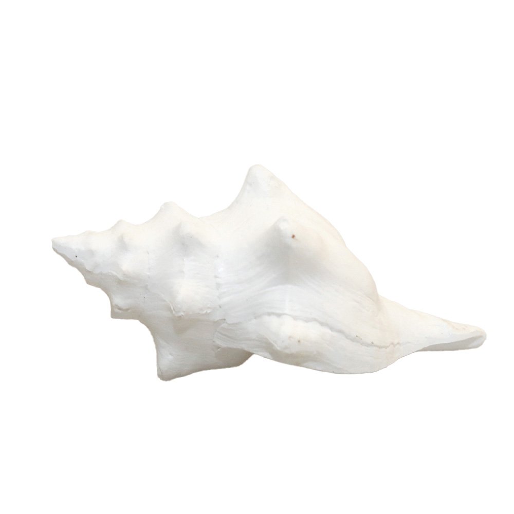 Dekorative weiße Schale 12,5x7x5cm