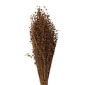 Trockenblumen Strauß 60 cm Beige – Landlicher Deko-Boho-Boquet | Clayre & Eef