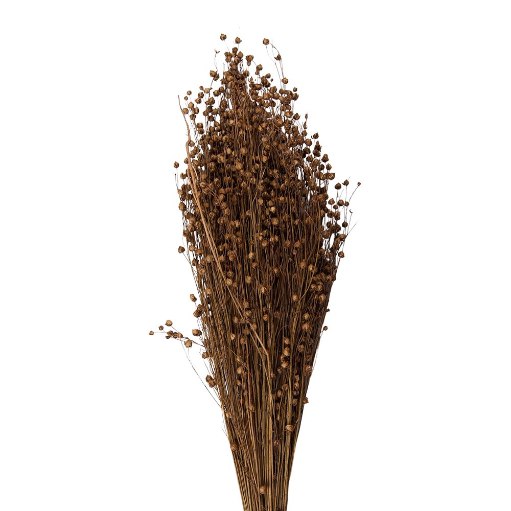 Trockenblumen Strauß 60 cm Beige – Landlicher Deko-Boho-Boquet | Clayre & Eef