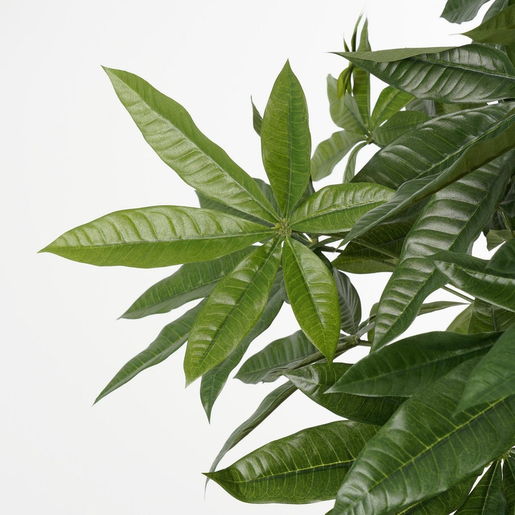 Künstliche Pflanze Pachira Green