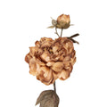 Künstliche Blume 73 cm brauner Kunststoff