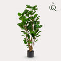 KUNSTPLANT - POLYSCIAS - ARALIA - 105 cm