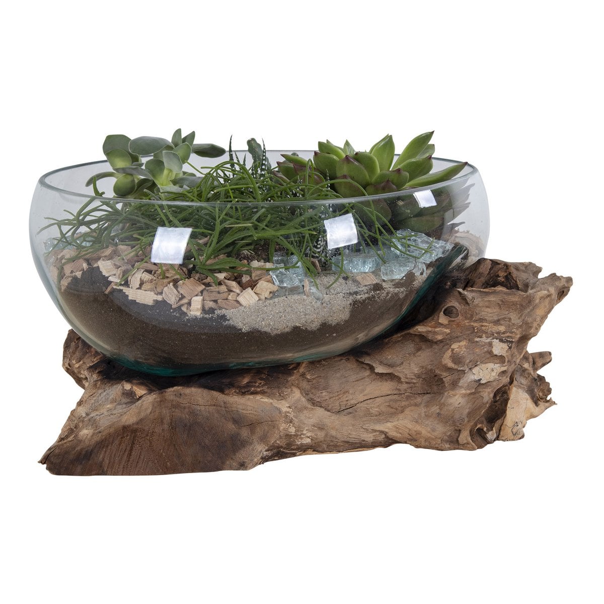 San Marino Waterdrop 26cm - Dekorative Holzvase für Sukkulenten und Pflanzen