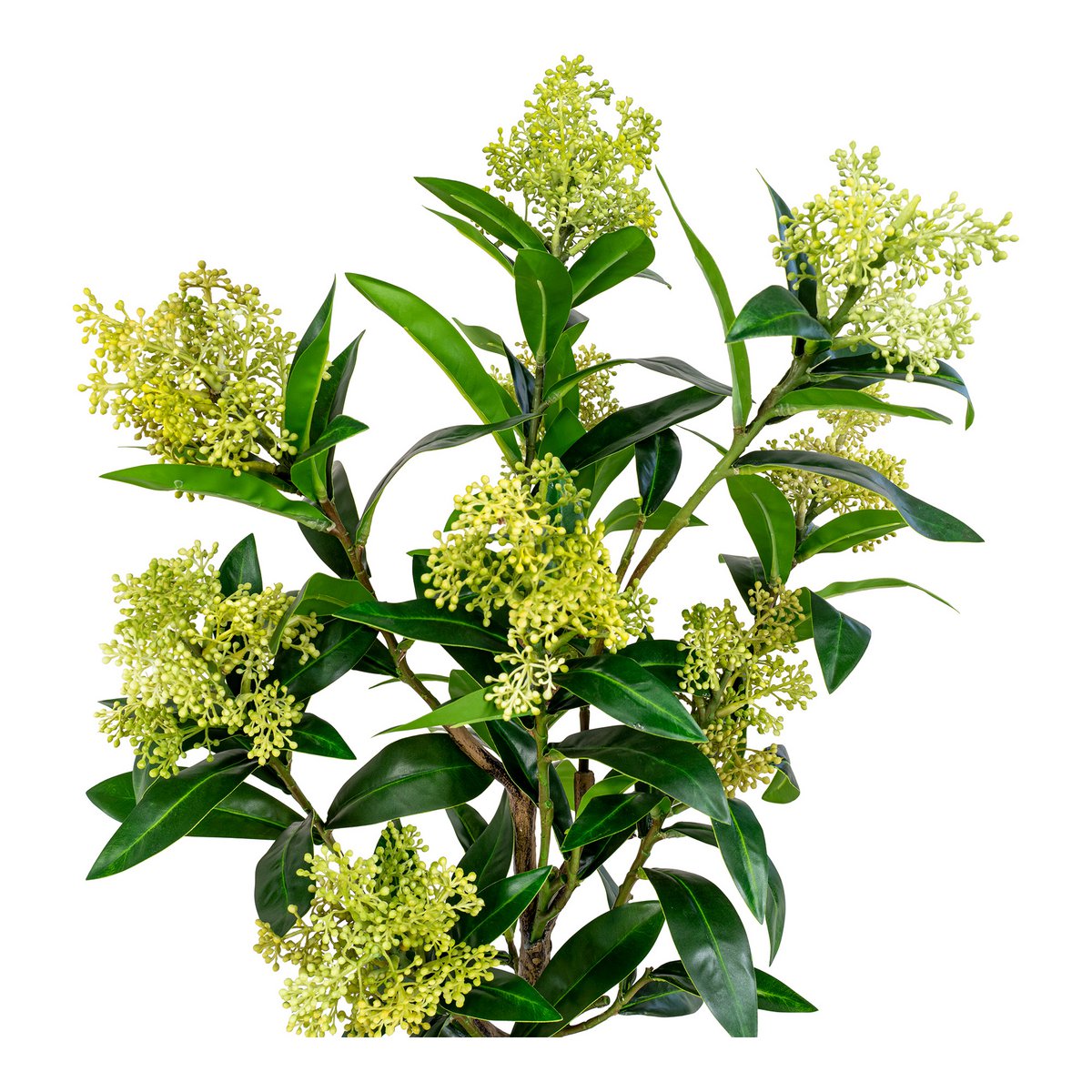 Skimmia-Baum – Grün, PE-Kunststoff, H:75 cm