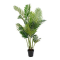 Areca-Palme – Grün, PE-Kunststoff/Polyester, 64 x 64 x 175 cm
