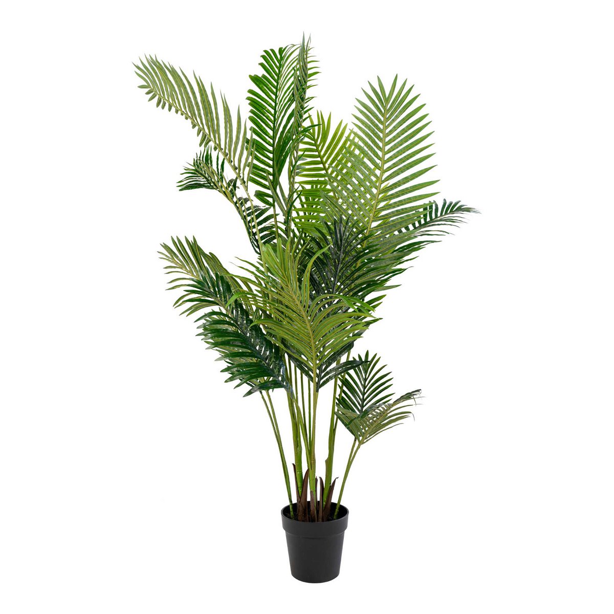 Areca-Palme – Grün, PE-Kunststoff/Polyester, 64 x 64 x 175 cm
