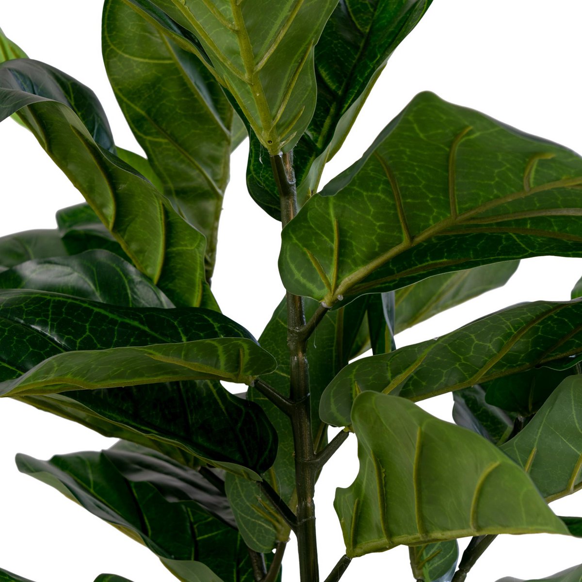 Geigenblattbaum – Grün, PE-Kunststoff/Polyester/Zement, 36 x 46 x 100 cm