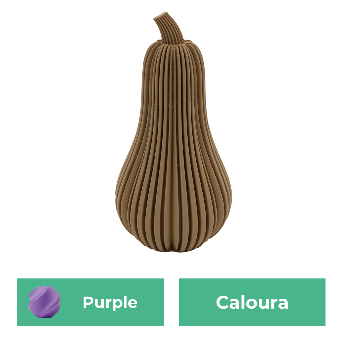 Caloura-Kürbis