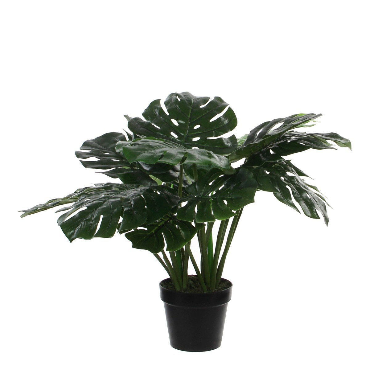 Künstliche Pflanze Monstera grün