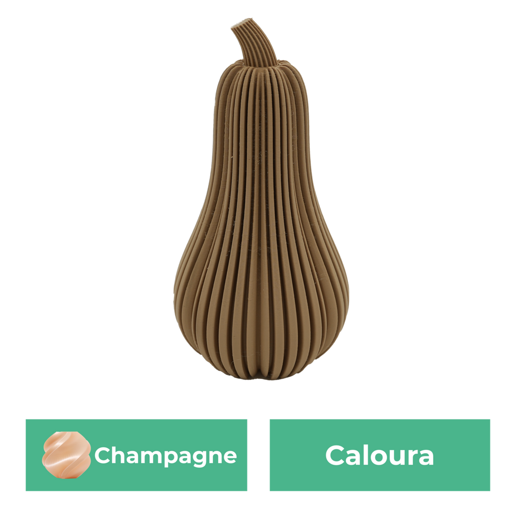 Caloura-Kürbis