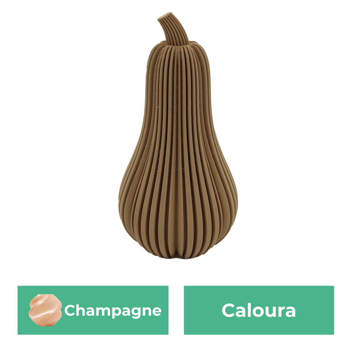 Caloura-Kürbis